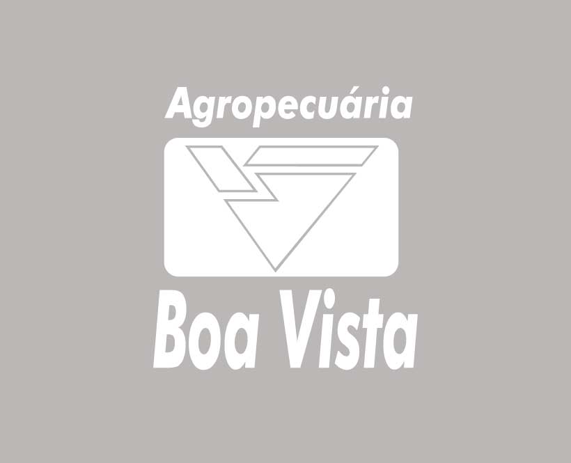 s4w marketing digital - imagem com logotipo